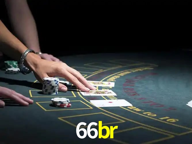 Tecnologia da Plataforma 66br